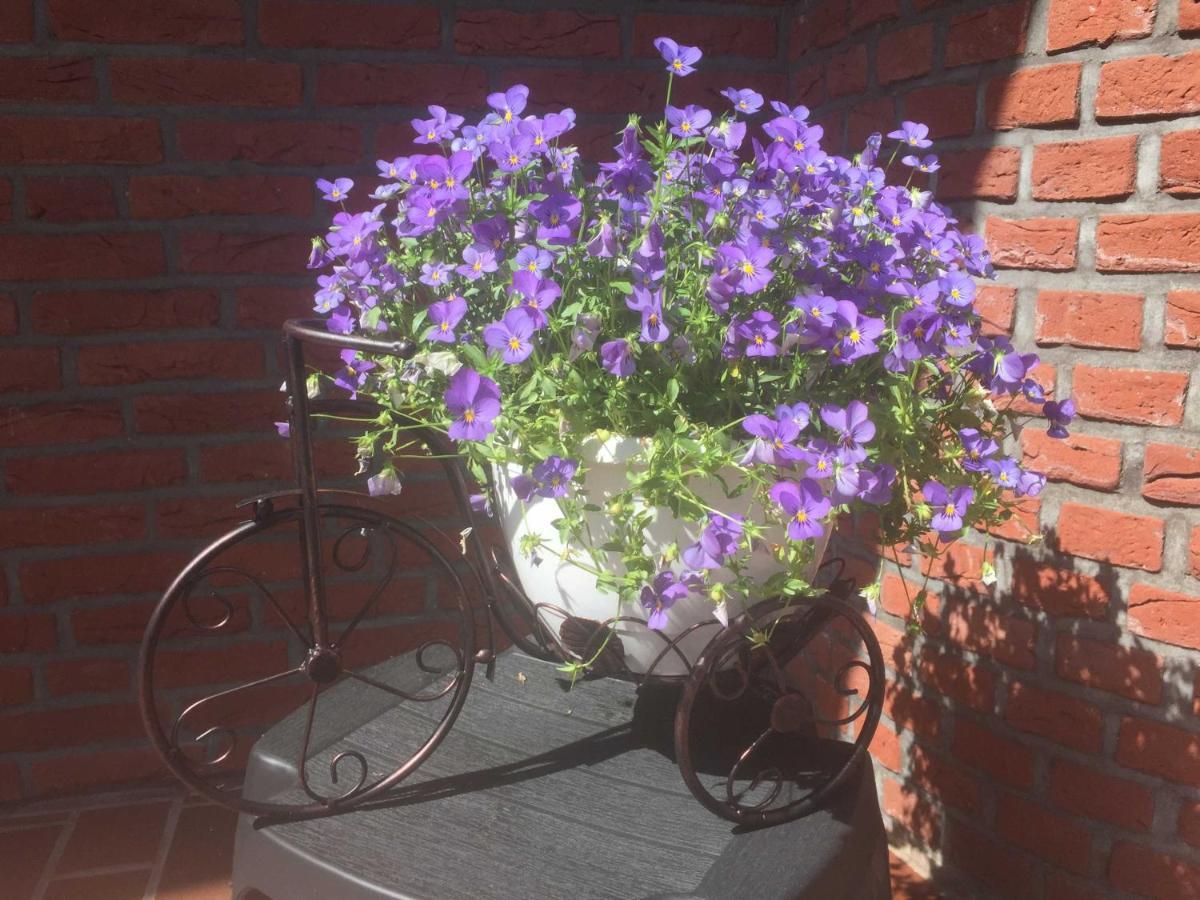 Ferienwohnung Vereinswiek 95137 Rhauderfehn エクステリア 写真