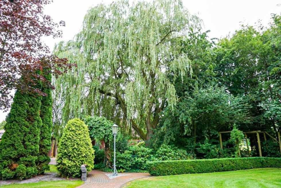 Ferienwohnung Vereinswiek 95137 Rhauderfehn エクステリア 写真